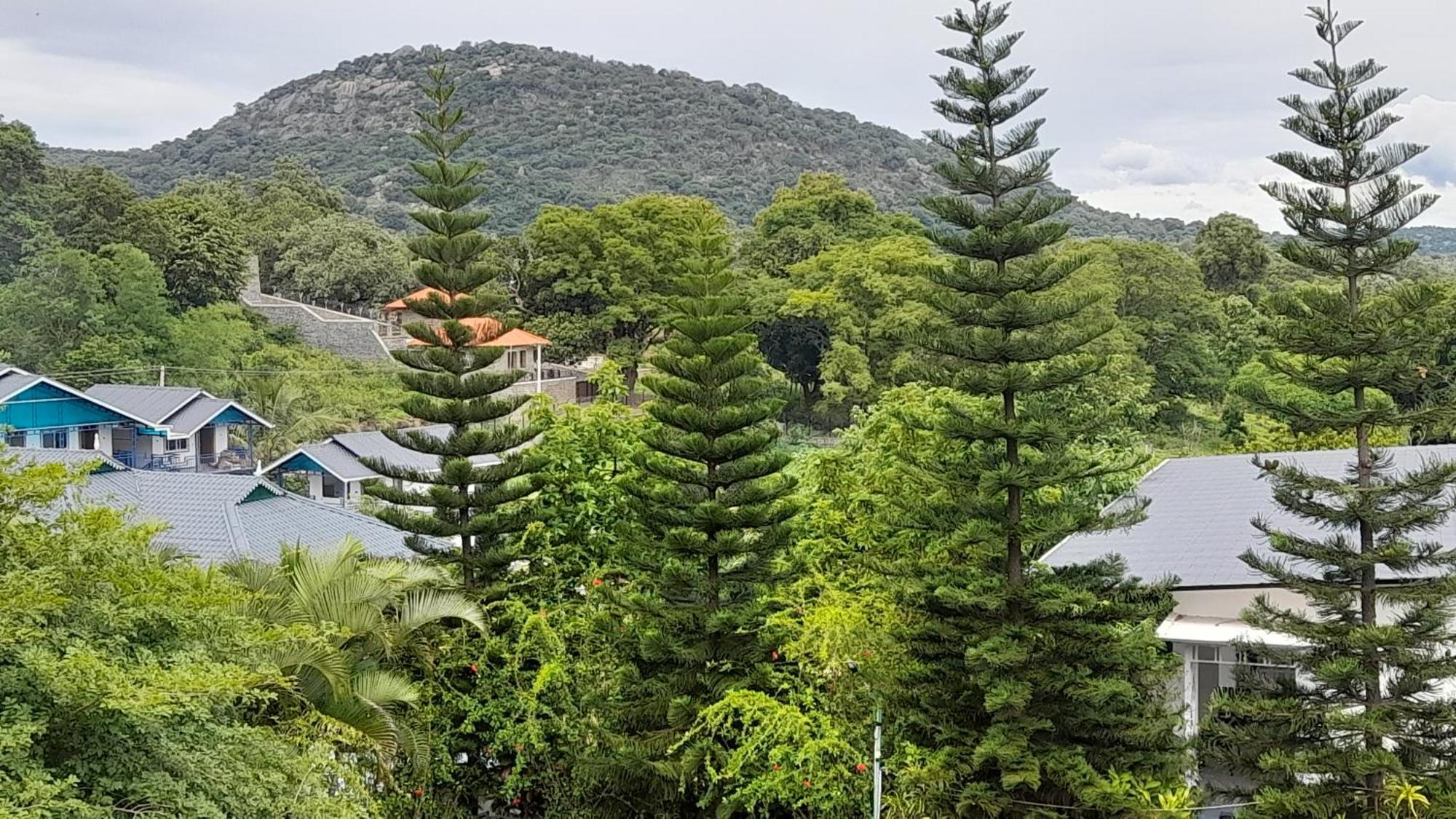 Mgm Whispering Wind'S Yelagiri Hotel Eksteriør billede